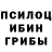 Галлюциногенные грибы Magic Shrooms Angelina Atutova