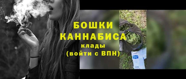 амф Бронницы