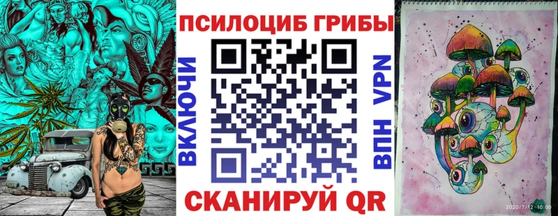хочу   Яхрома  Галлюциногенные грибы ЛСД 